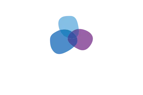 kelsius logo white